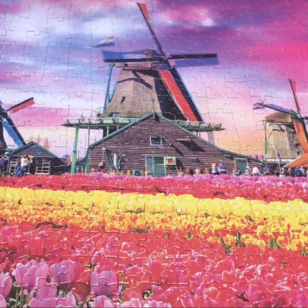 Meet your Posher, Tayler